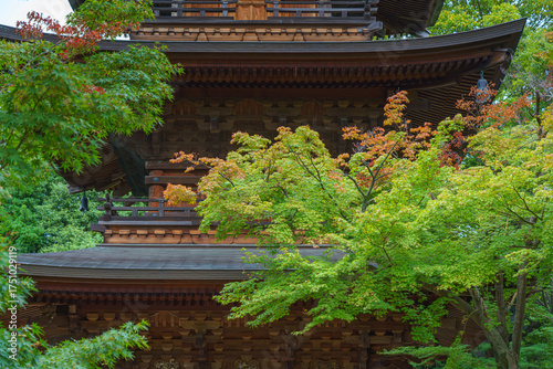 Tokyo, Japan - Sep 30 2024,...