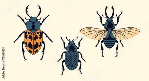 An illustration of three different types of beetles showcasing their unique physical characteristics and distinct patterns.