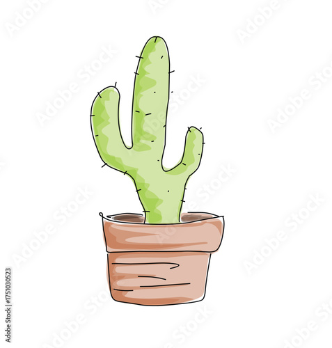 Cactus on the pot vector illustration.eps