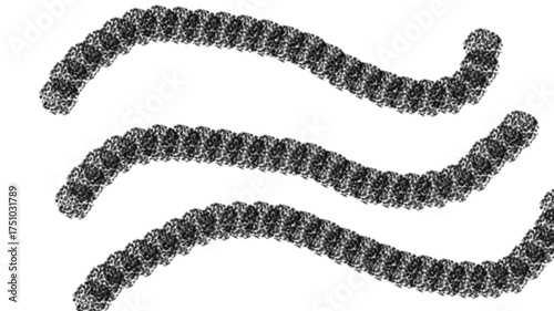 Three segmented undulating black worms on a white background