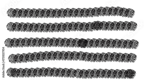 Five parallel rows of coiled metal springs on a white background