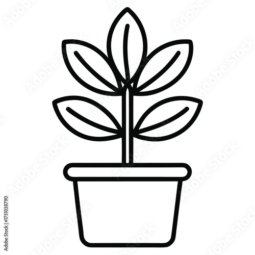 rubber plant in a pot outline vector icon