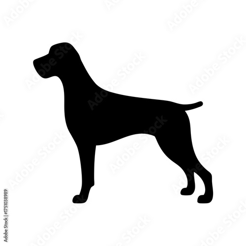 Silhouette of a sleek standing dog showcasing its athletic build and elegant posture in a classic profile view.