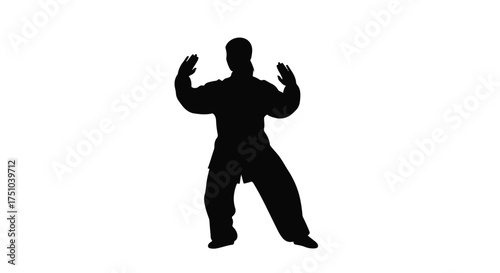 Silhouette of person practicing martial arts in a dynamic pose, conveying strength and discipline.