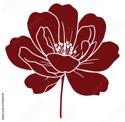 Elegant botanical illustration of a red flower isolated on a clean white background