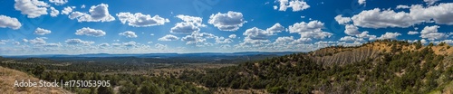 desert trees panorama with dramatic clouds