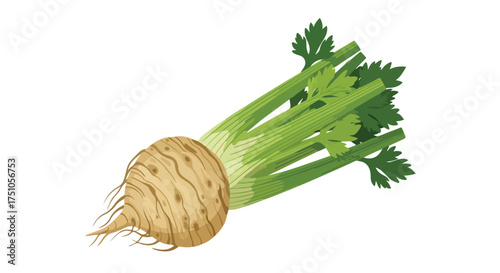 Rooted Freshness: A Crisp Depiction of Celery Root and Vibrant Green Stalks Against a Clean Backdrop 150 characters