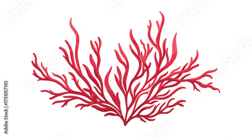 Vibrant marine flora: Illustrated bright red algae on a pristine white background enhances visual depth and appeal