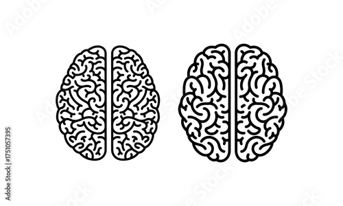 Two stylized brain graphics representing cognitive functions and neural networks scientific concept art