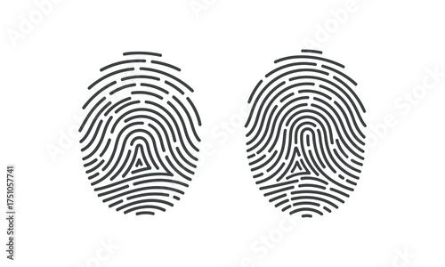 Two detailed fingerprint patterns close up forensic identification symbol identity unique human biometric data