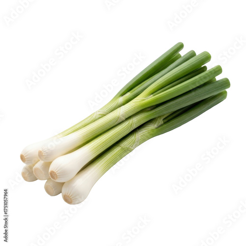Fresh Spring Onions Bundle with White Bulbs and Long Green Stalks on White