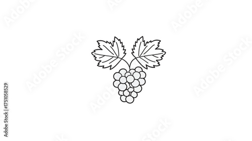 Minimalist line art illustration of a bunch of grapes with two leaves, black and white vector outline of fresh fruit, simple organic design
