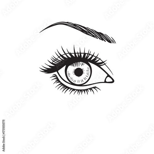 Vector art of close up of a woman eye with long lashes illustration.