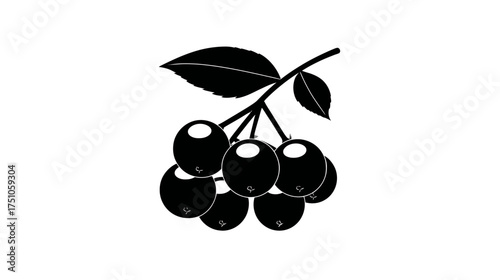Stylized black silhouette of a berry cluster with a leaf on a branch, minimalist graphic icon, food and nature illustration.