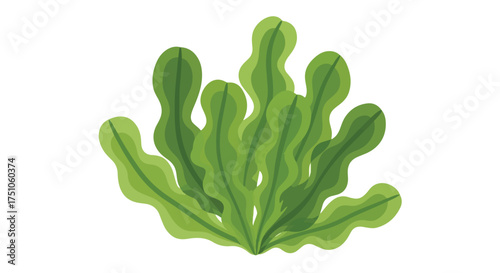 Stylized Vector Illustration of Lush Green Seaweed Cluster Against a Pristine White Backdrop Depicting Aquatic Flora
