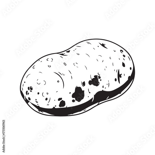 Potato Bulb Illustration – Black and White Stylized Vegetable Drawing