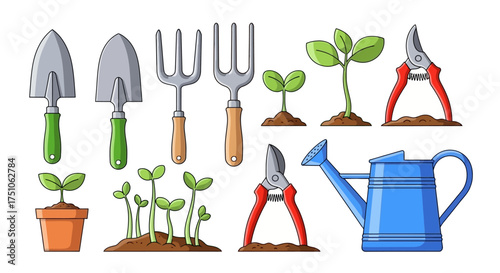 A bright vector illustration of various gardening tools and young plants, white background