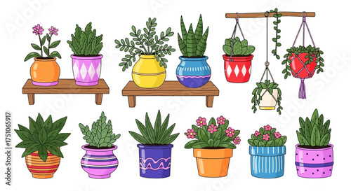 A cheerful vector illustration of various potted plants in a colorful home garden, white background