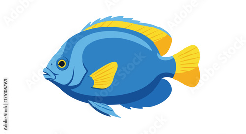 Colorful tropical reef fish with vibrant hues, isolated on white backdrop, marine life illustration, inviting summer vibe and aquatic charm
