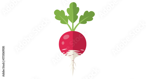 Stylized radish illustration with vibrant color palette and simple design depicting freshness and natural healthy food concept ideal for health blogs