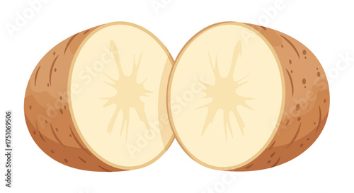 Cross-Section of a Freshly Cut Potato Exhibiting Internal Structure, Isolated on White Background with Vector Graphics, Simple Design