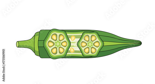 Isolated graphical illustration of a sliced okra displaying its distinctive interior structure and seeds creating a natural design element