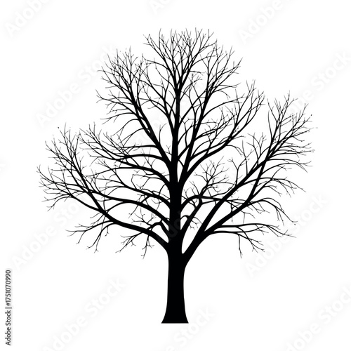 A vector illustration vector art of silhouette of a bare tree in winter