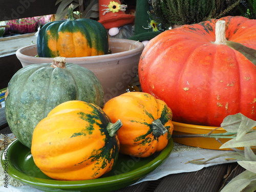 Bodegon de calabazas para Halloween 