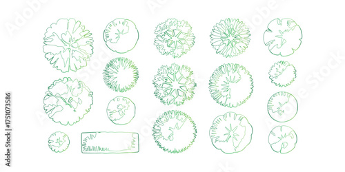 Botanical Greenery Overhead Plan Collection Artistic Tree Top View Vector Illustration Set