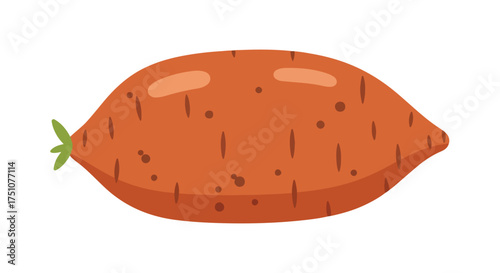 Vibrant sweet potato illustration with natural earthy tones and minimalist design elements for health and nutrition concepts