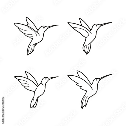 Four outlined hummingbirds in flight pose on transparent background