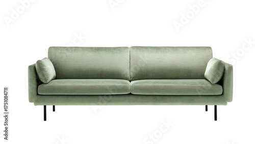 Elegant light green velvet couch with black legs, two cushions and two armrest pillows