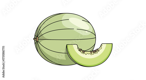 Illustration showcasing a light green melon alongside a juicy slice presented on a clean white background