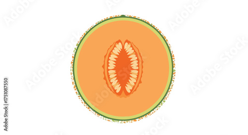 Vibrant cantaloupe slice illustration showcasing juicy pulp and seed cavity, perfect for graphic design and culinary themes