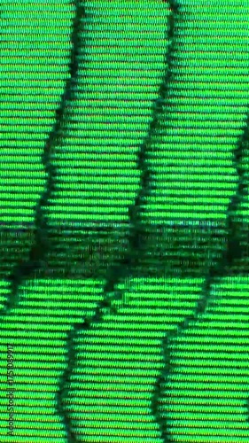 Horizontal green interference lines on a CRT TV screen, offering a unique vintage digital glitch look