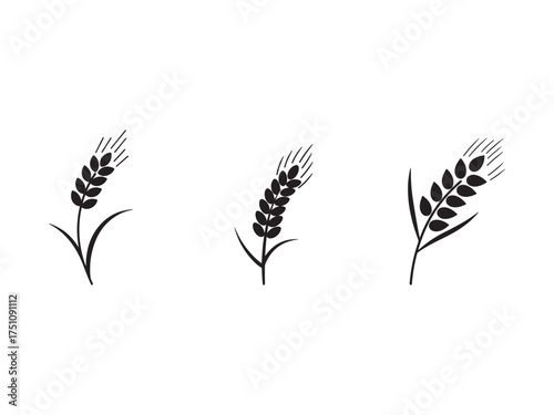 Three Black Wheat Stalks Vector Illustration Simple Agricultural Design Harvest Symbol Grain Icon Food Ingredient Natural Element Healthy Eating Plant Based