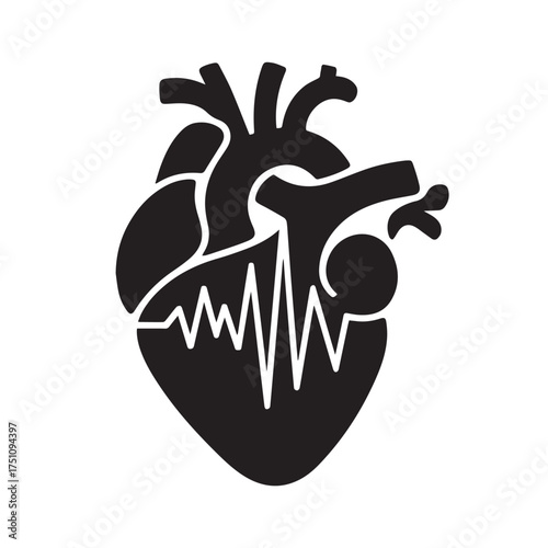 Anatomical Human Heart Silhouette Vector