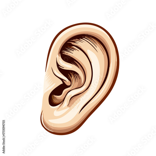 Detailed Human Ear Illustration Anatomy Hearing and Health Concepts