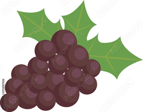 bunch of grapes