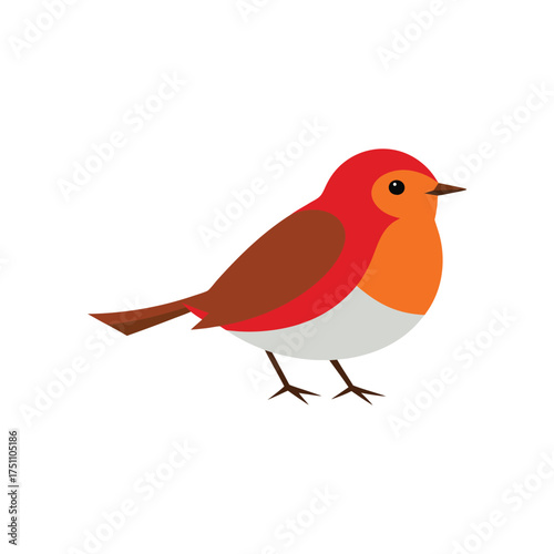 Red robin inspired adorable bird graphic vector illustration