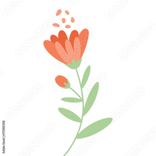 Watercolor illustration of a delicate orange flower with falling petals