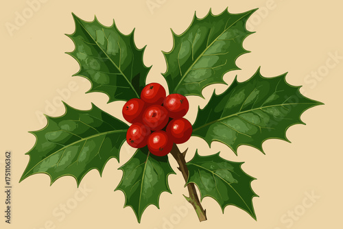 Holly leaves and bright red berries on a beige background  
