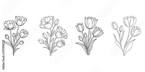 Four stylized black and white botanical illustrations of tall flowering plants on a white background