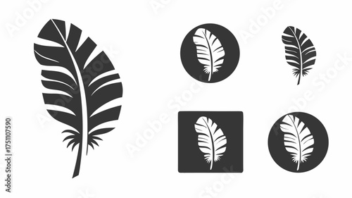 Illustration showcasing a feather in various styles and formats including circles and squares shapes with white fill | editable eps vectors silhouette