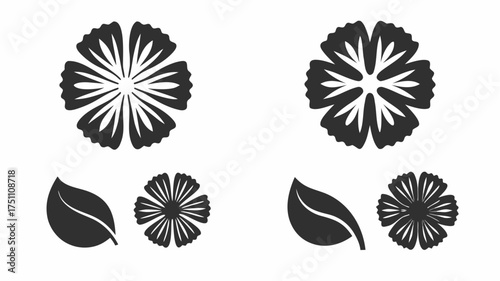 Two sets of floral elements including flower blossoms and leaves in a symmetrical arrangement design | editable eps vectors silhouette
