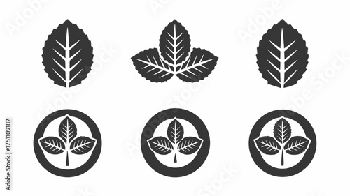 Collection of leaf designs featuring single leaves and clusters within circular emblems in monochrome style | editable eps vectors silhouette