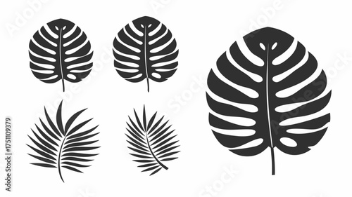 Illustration of several stylized black and white tropical leaves including monstera and palm fronds design element | editable eps vectors silhouette