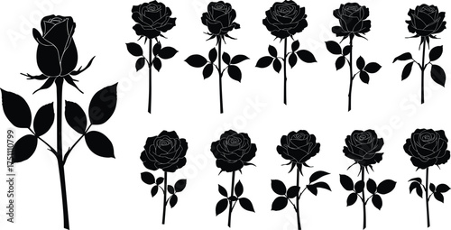 Rose blooming silhouettes, flower growth stages, botanical illustration, floral artwork, black silhouette roses, nature plant design, cad drawing flat vector illustration