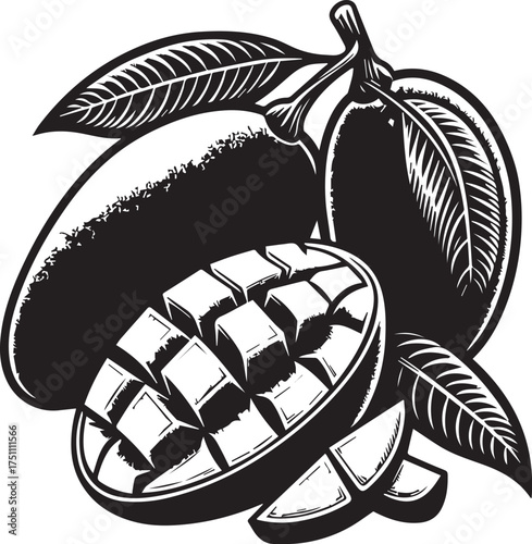 Detailed black and white mango illustration, fresh tropical fruit ready for summer designs and healthy living campaigns