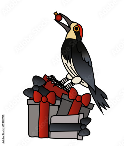 An acorn woodpecker bird, Melanerpes formicivorus, sitting on a pile of Christmas gifts with black and red ribbons, holding a Christmas decoration ball in its beak. 